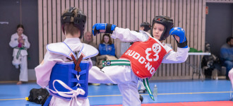 knøttecup